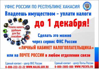 Владеешь имуществом - уплати налоги до 1 декабря!